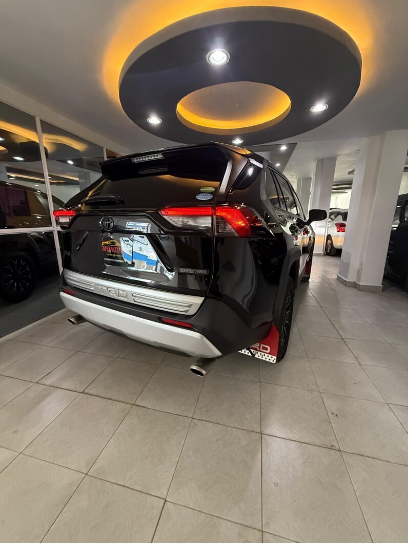 
								Toyota RAV4 Adventure 2020 TRD Edition full									