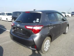 Toyota Vitz 2019 1000cc