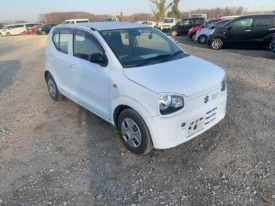 Suzuki Alto 2020 Ene-Charge