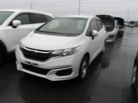 Honda Fit 2019 13G F Non Hybrid 4WD