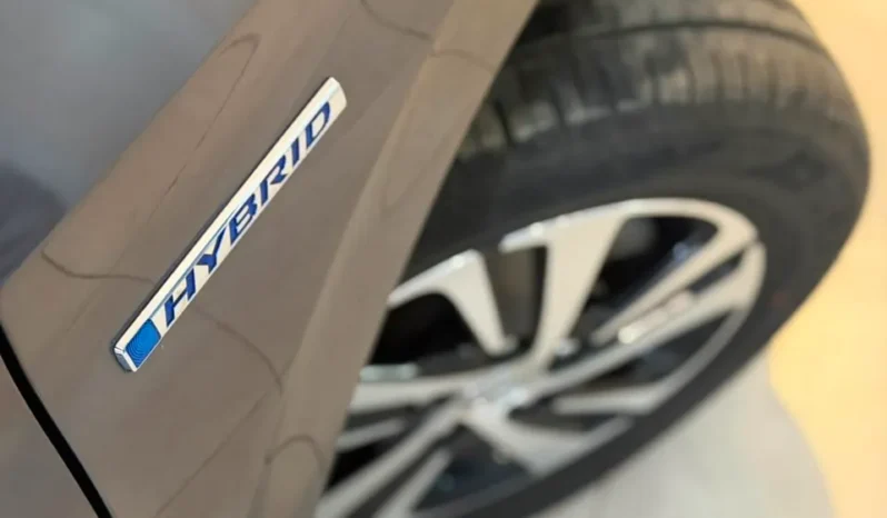 
								Honda Freed+ Hybrid 2019 full									