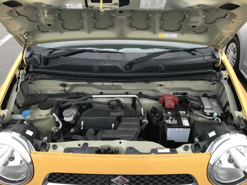 
								Suzuki Hustler 2019 S-Ene Charge G Two Tone full									